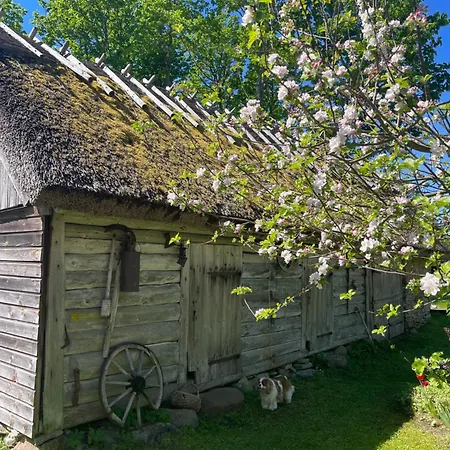 Aaviku Hébergement de vacances Vanamõisa