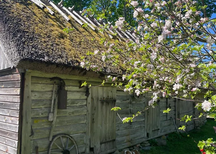 Aaviku Σπίτι διακοπών Vanamõisa